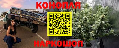 Альфа ПВП Будённовск