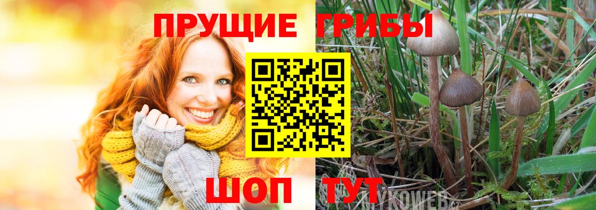 продажа наркотиков  Псилоцибиновые грибы Magic Shrooms  Вход с VPN  Снежинск 